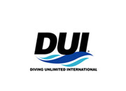 듀이(DUI)