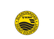바이킹(VIKING)