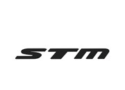 에스티엠(STM)